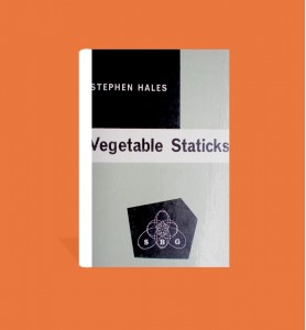 Vegetable Staticks