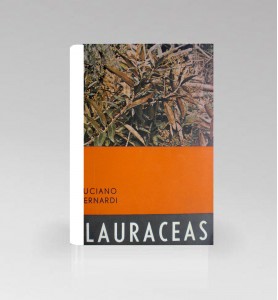 Lauraceas