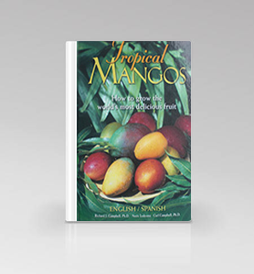 Tropical Mangos