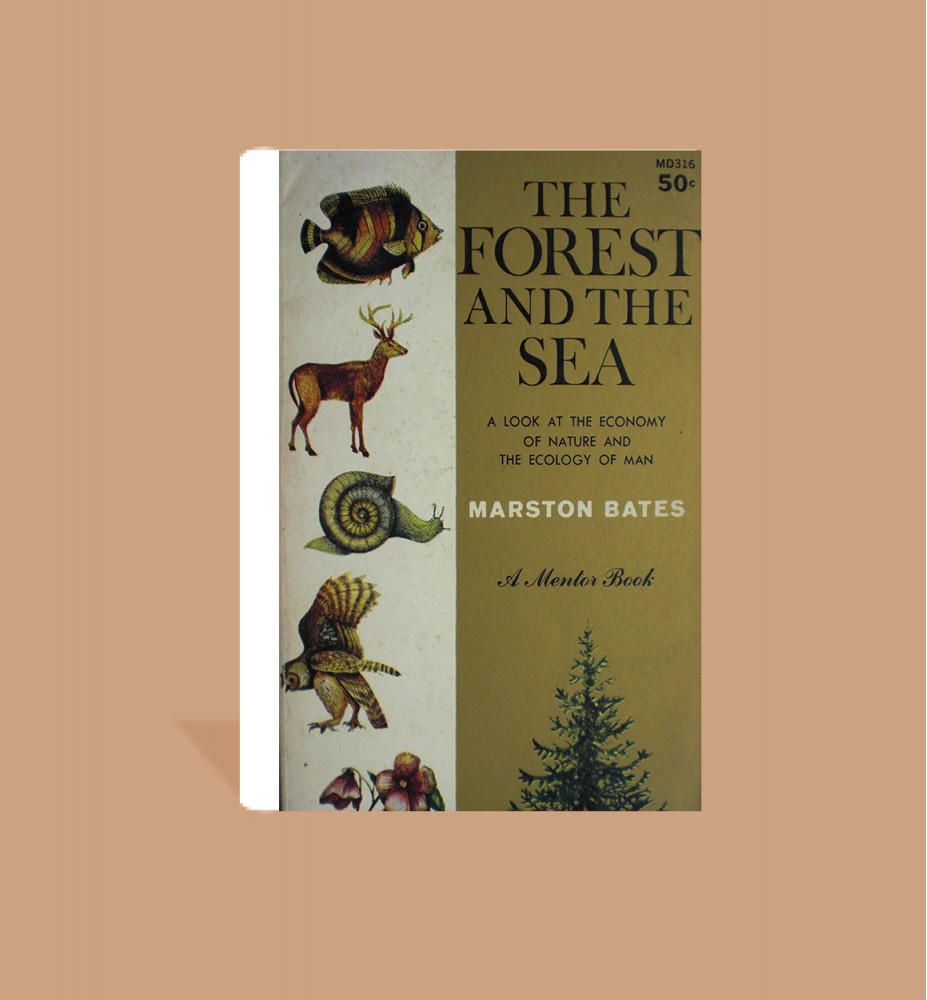 The Forest and the Sea