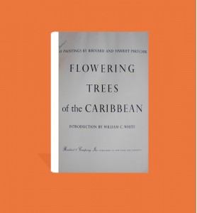 Flowering Trees of the Caribbean