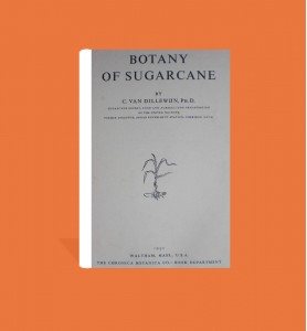 Botany of Sugarcane