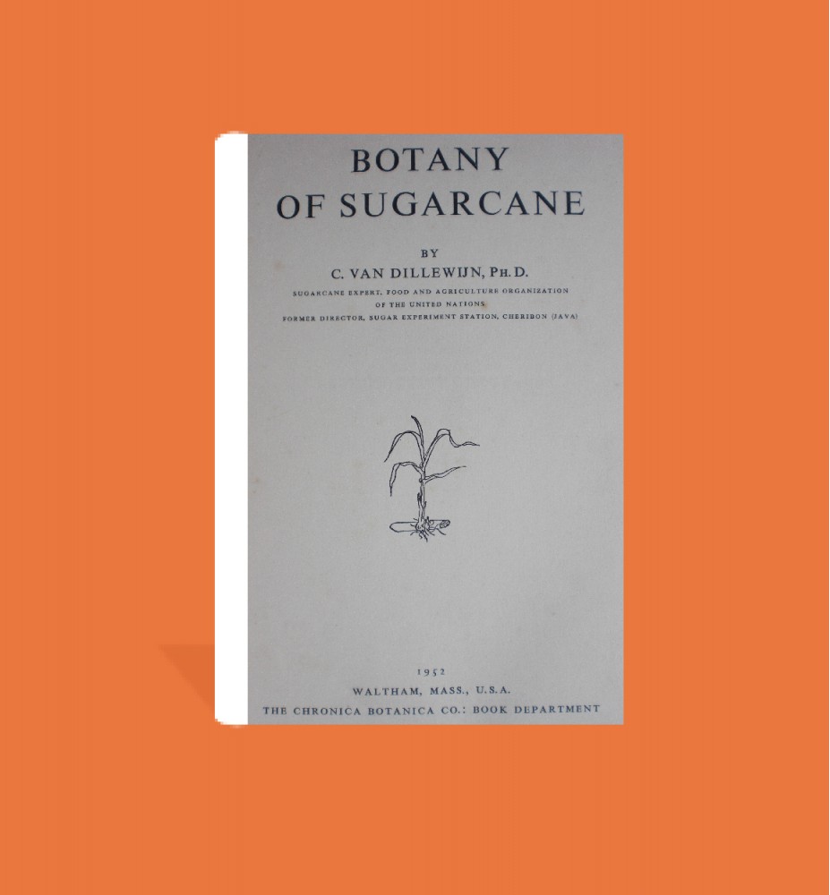 Botany of Sugarcane