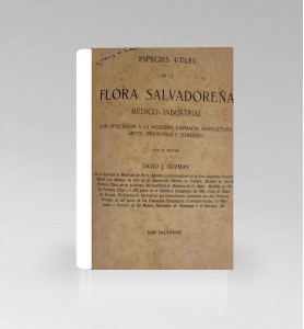 Flora Salvadoreña