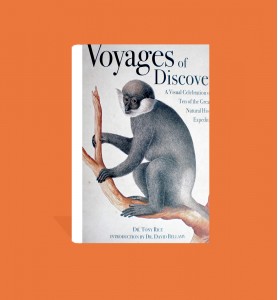 Voyages of Discovery