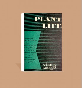 Plant Life