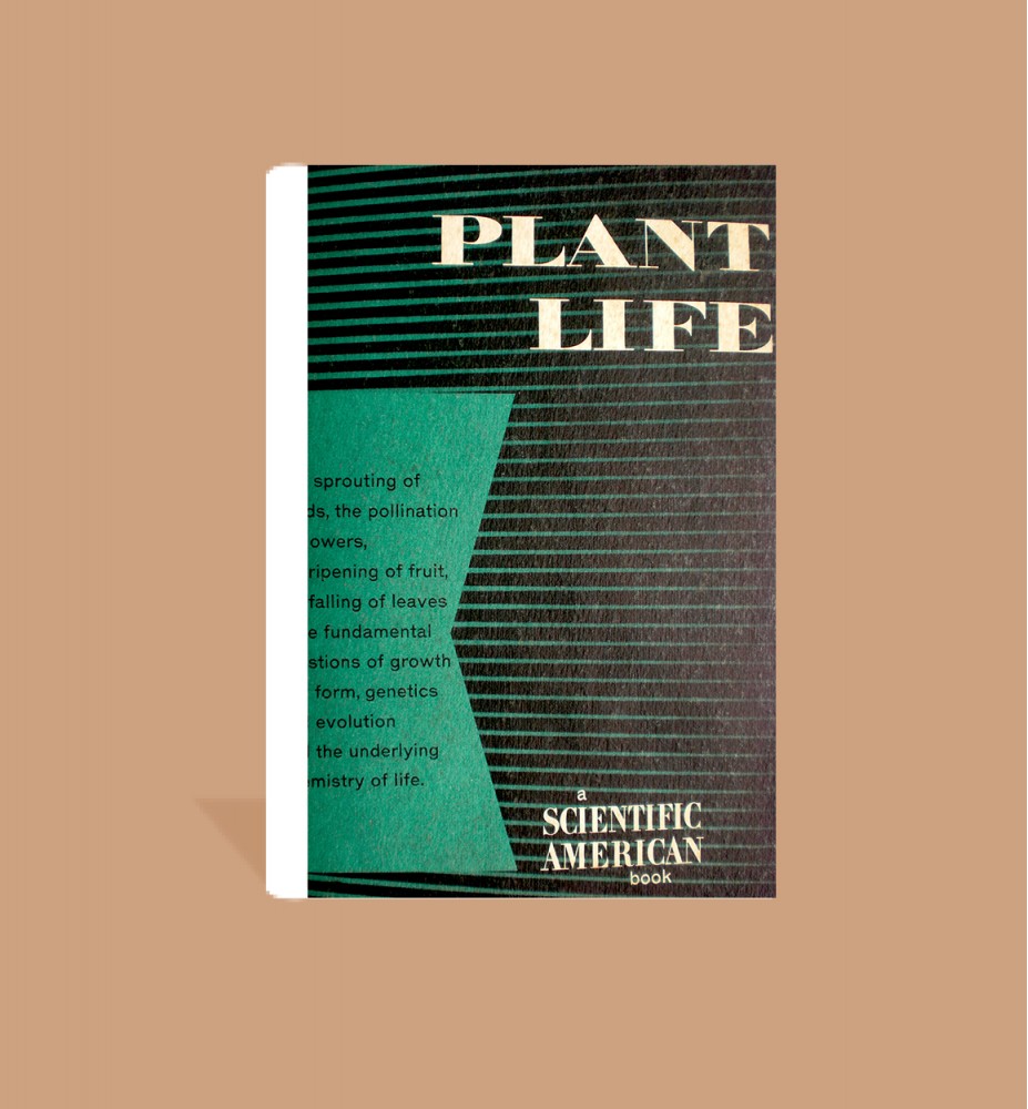 Plant Life