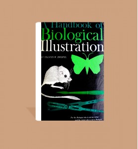 A Handbook of Biological Ilustration