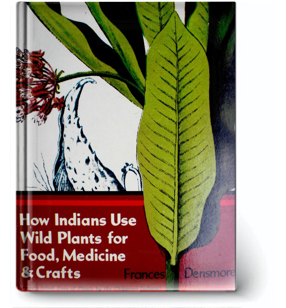 How Indians Use Wild Plants For Food, Medicine Y Crafts