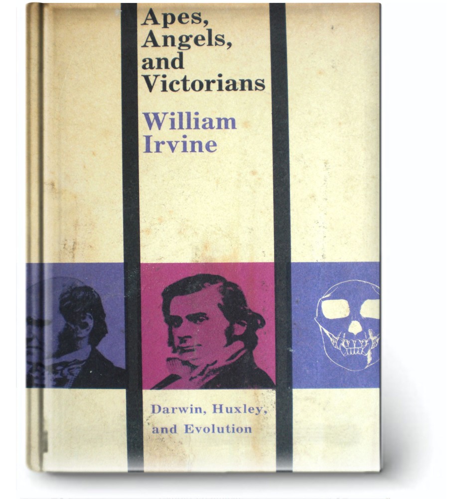 Apes, Angels And Victorians